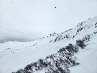 &Eacute;chapp&eacute;e en poudreuse lourde 