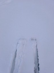 Tombe la neige ❄️❄️