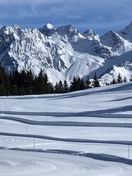 Sc&eacute;nique et tr&egrave;s bon en haut mais b&eacute;ton en bas.