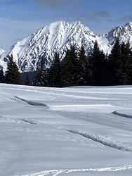 Sc&eacute;nique et tr&egrave;s bon en haut mais b&eacute;ton en bas.