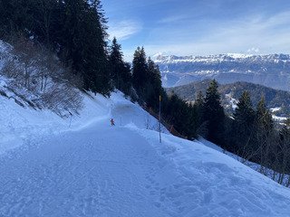 Sc&eacute;nique et tr&egrave;s bon en haut mais b&eacute;ton en bas.