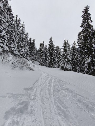Le jour d'apr&egrave;s !