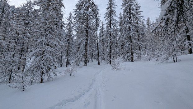 la der &agrave; Crevoux, peu mieux faire.