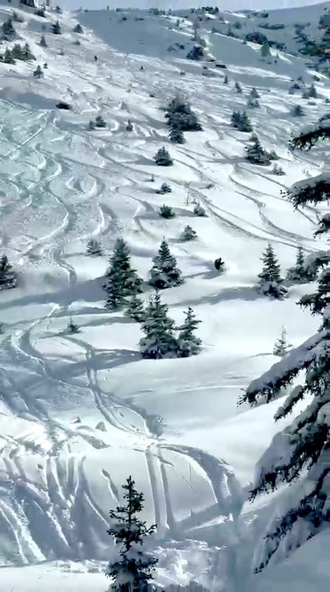 Popopo(w) - Du retard &agrave; l'allumage, mais whoooo