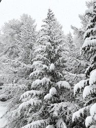 Viens y&rsquo;en a plein