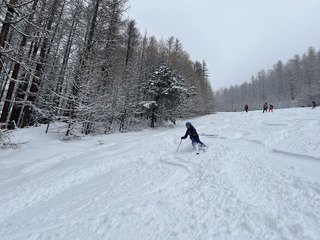 Livraison de neige lourde