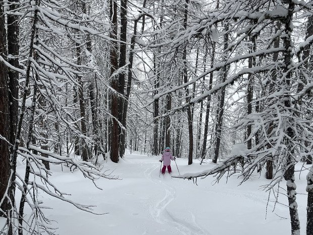 Livraison de neige lourde