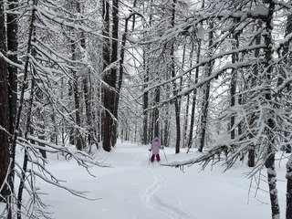 Livraison de neige lourde
