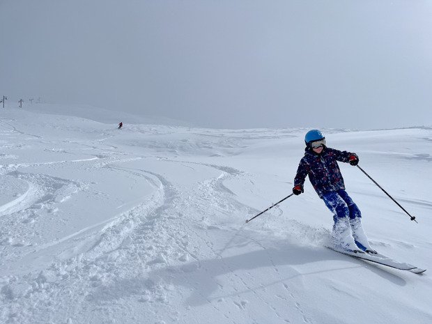 Livraison de neige lourde