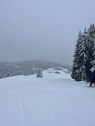 C&rsquo;est bon sur le haut !