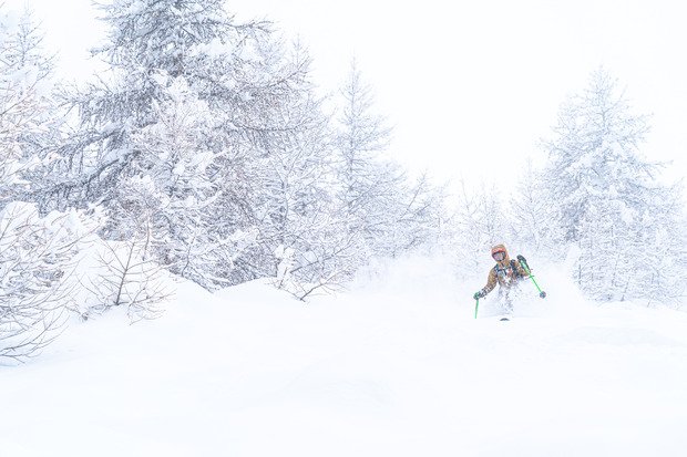 Poudreuse jusqu'en haut des genoux