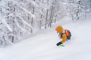 Poudreuse jusqu'en haut des genoux
