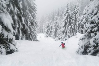 Trop de neige&nbsp;?