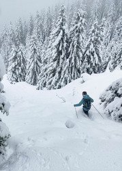 Trop de neige&nbsp;?