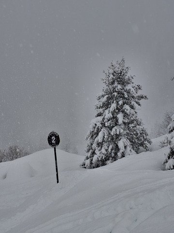 Tours sur l'eterlou, bien poudreux mais prudence 4/5 ⚠️