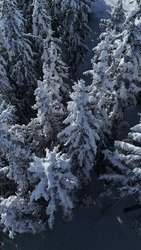 C&rsquo;est monstrueux ☃️☃️☃️