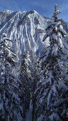 C&rsquo;est monstrueux ☃️☃️☃️