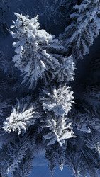 C&rsquo;est monstrueux ☃️☃️☃️