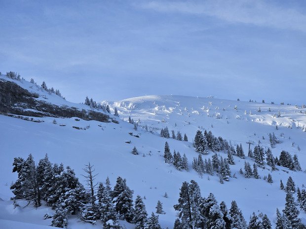 Ici, le moins devient le mieux