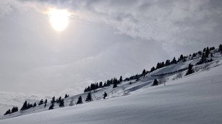 Sur Piet-Moutet? On c&rsquo;est gav&eacute; !
