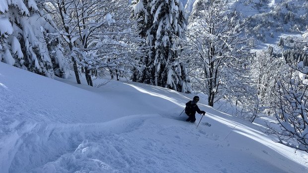 Ph&eacute;nom&eacute;mal