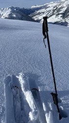 Ph&eacute;nom&eacute;mal