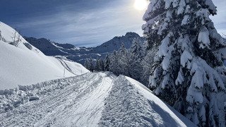 Ph&eacute;nom&eacute;mal