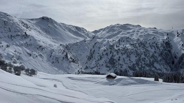 Ph&eacute;nom&eacute;mal