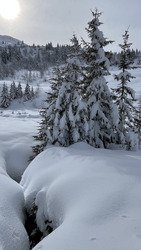 Ph&eacute;nom&eacute;mal