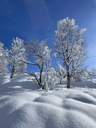 Contamines sous Deep Snow