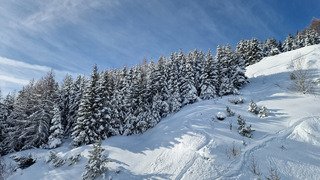 Une accalmie de courte dur&eacute;e 