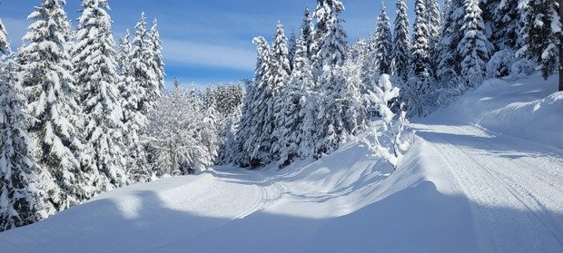 Ne pas tenter le diable 