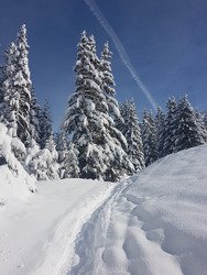 Ne pas tenter le diable 