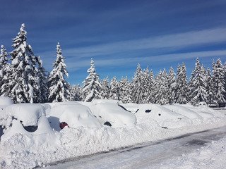 Ne pas tenter le diable 