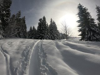 Grosse grosse peuf ... en s&eacute;curit&eacute;