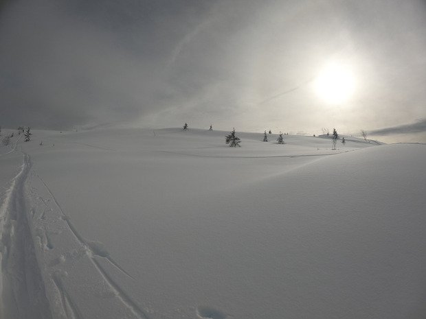Grosse grosse peuf ... en s&eacute;curit&eacute;
