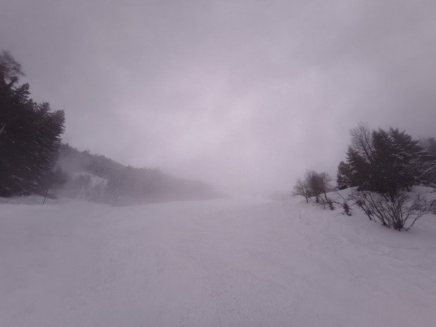 Un samedi dans le brouillard