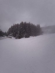 Un samedi dans le brouillard