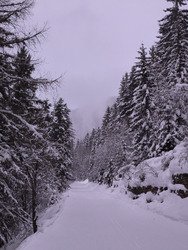 Un samedi dans le brouillard