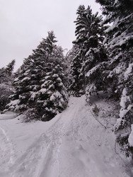 Un samedi dans le brouillard