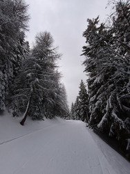 Un samedi dans le brouillard