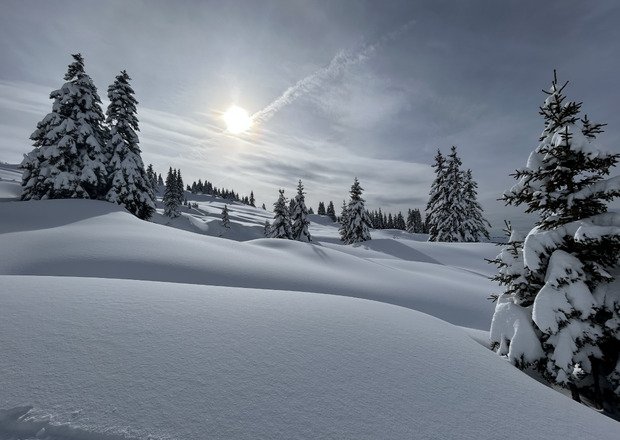 Incroyable journ&eacute;e de fra&icirc;che 😍
