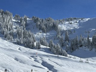 Incroyable journ&eacute;e de fra&icirc;che 😍