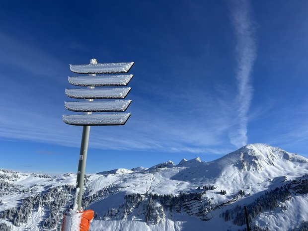 Incroyable journ&eacute;e de fra&icirc;che 😍