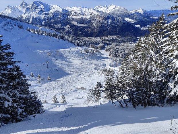 Apowpowcalypse ❄️❄️❄️