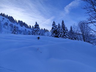 Apowpowcalypse ❄️❄️❄️