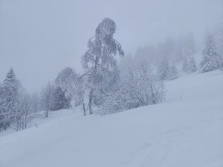 L&eacute;g&egrave;re comme une plume 🪶