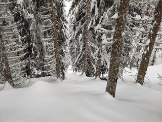 L&eacute;g&egrave;re comme une plume 🪶