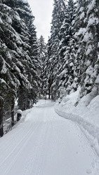 C&rsquo;et b&acirc;ch&eacute; aujourd&rsquo;hui 