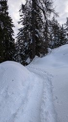 Pas un chat ... Ah si !